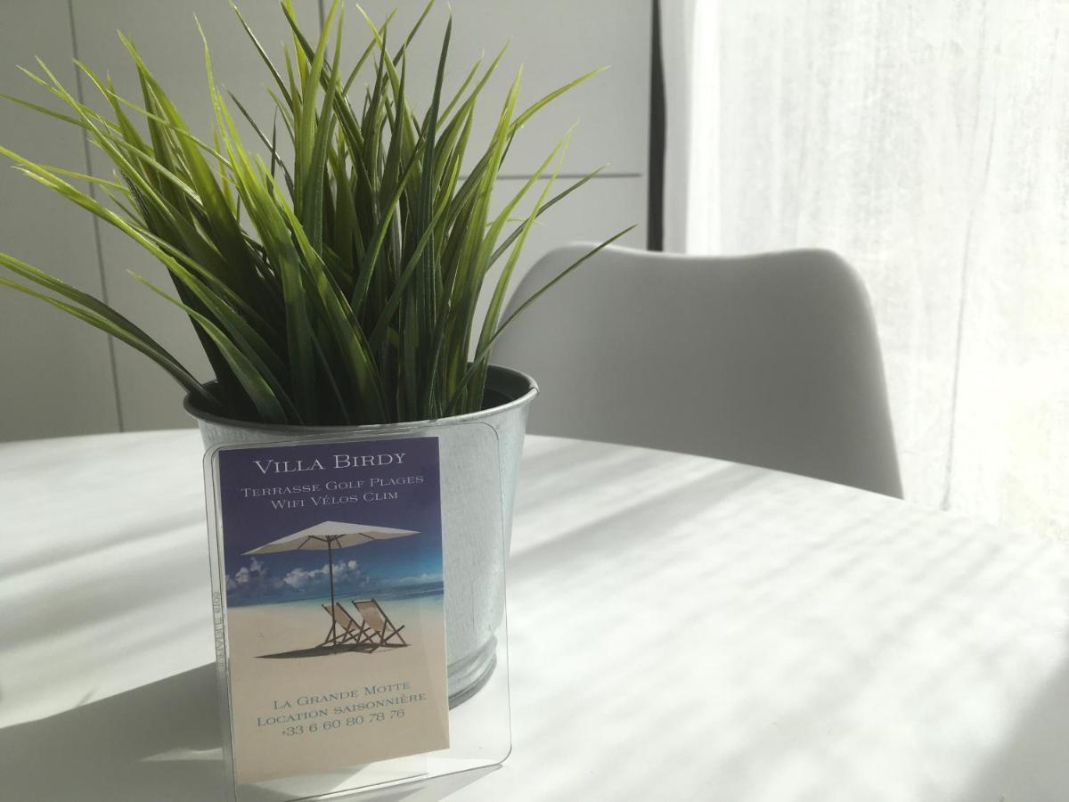 Apartment Le Birdy, Terrasse, Wifi, Clim *